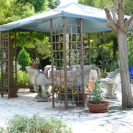 Bed&Breakfast Giardino Agritourist Controguerra Extérieur photo